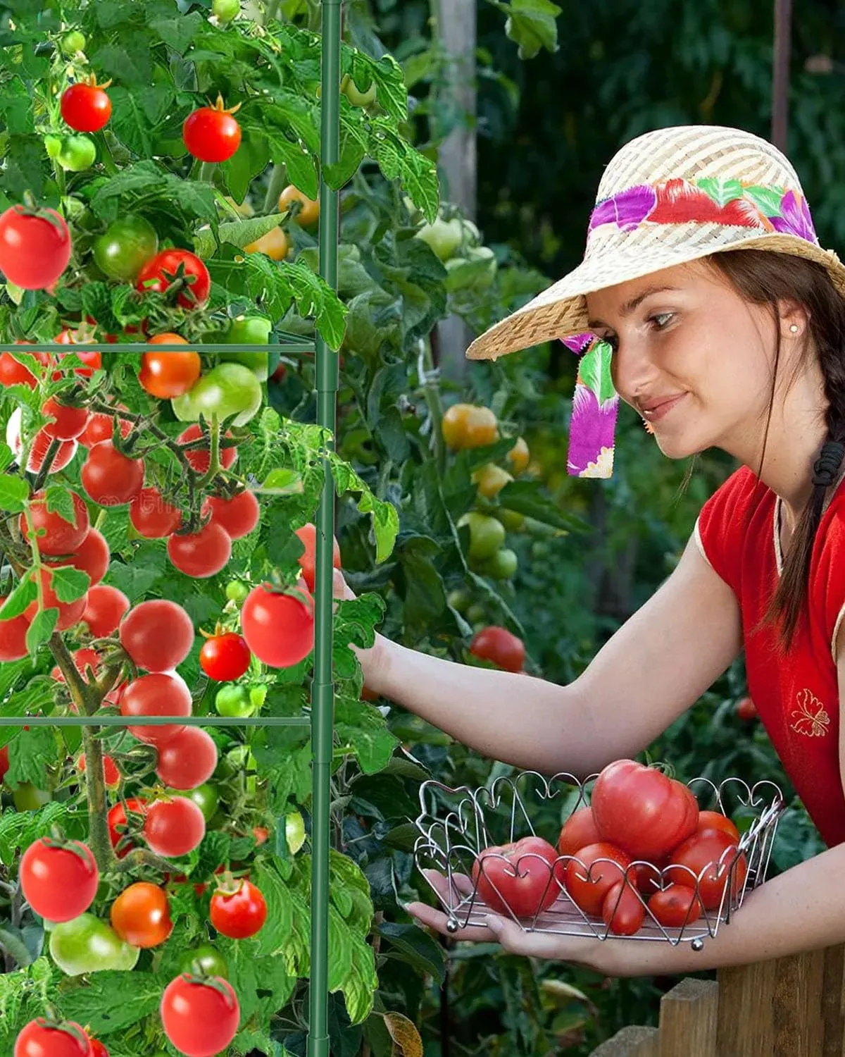 3 Pack Tomato Cages for Garden, 51 Inches Adjustable Tomatoes Plant Stakes Support Cages Trellis, Garden Trellis for Vegetable Flowers Fruits Climbing Plants- 20 Binding Wires Included