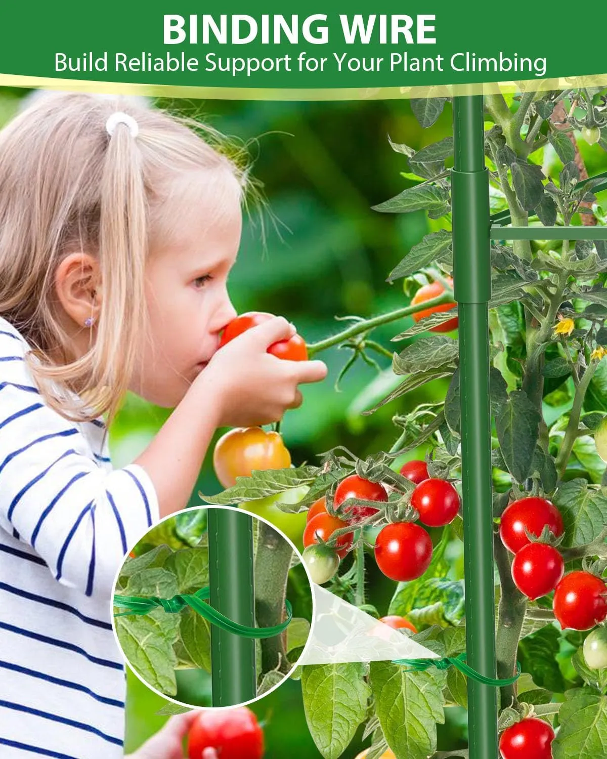 3 Pack Tomato Cages for Garden, 51 Inches Adjustable Tomatoes Plant Stakes Support Cages Trellis, Garden Trellis for Vegetable Flowers Fruits Climbing Plants- 20 Binding Wires Included