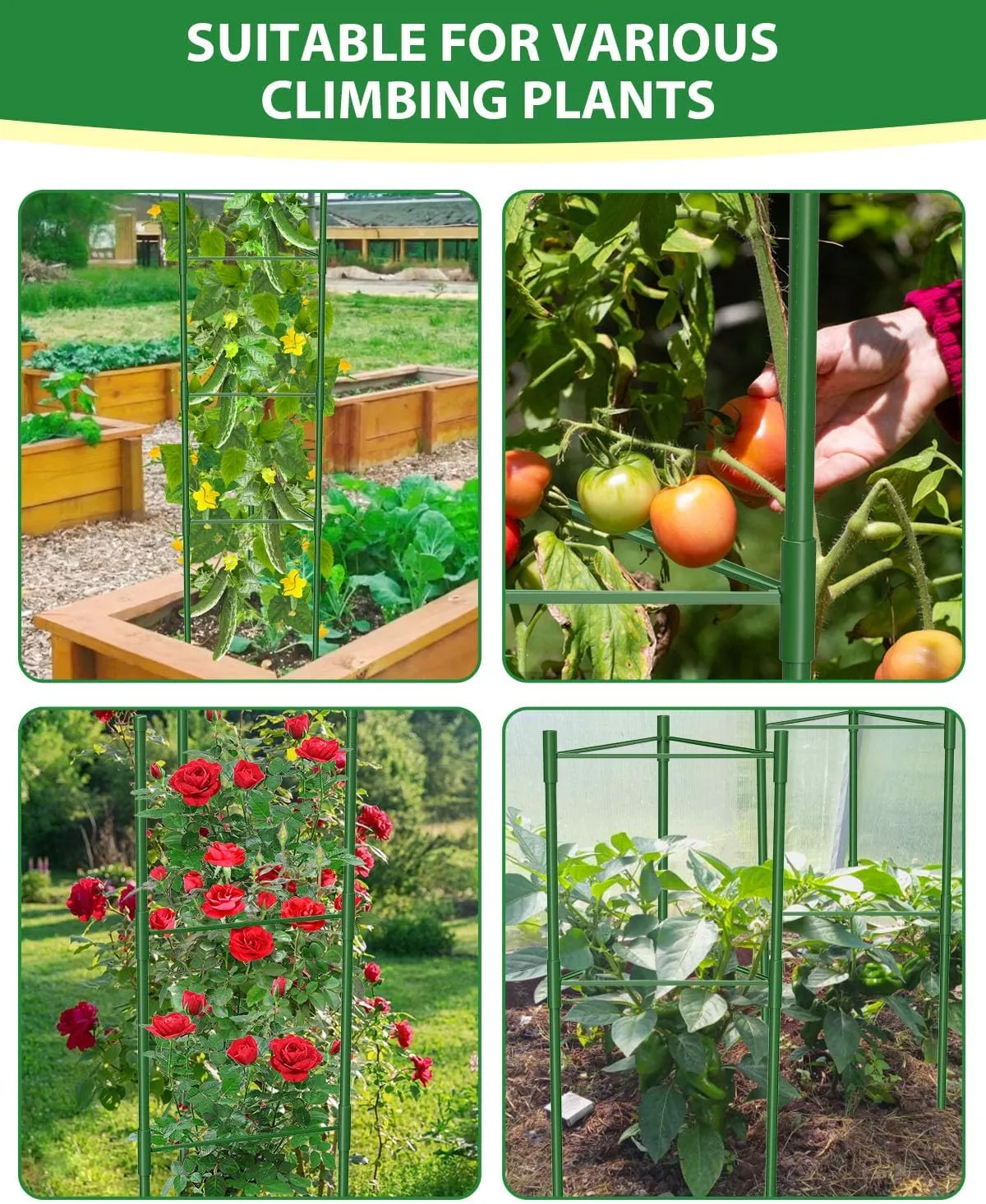 3 Pack Tomato Cages for Garden, 51 Inches Adjustable Tomatoes Plant Stakes Support Cages Trellis, Garden Trellis for Vegetable Flowers Fruits Climbing Plants- 20 Binding Wires Included