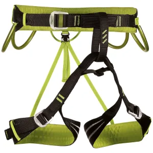 Alpine Flash Harness