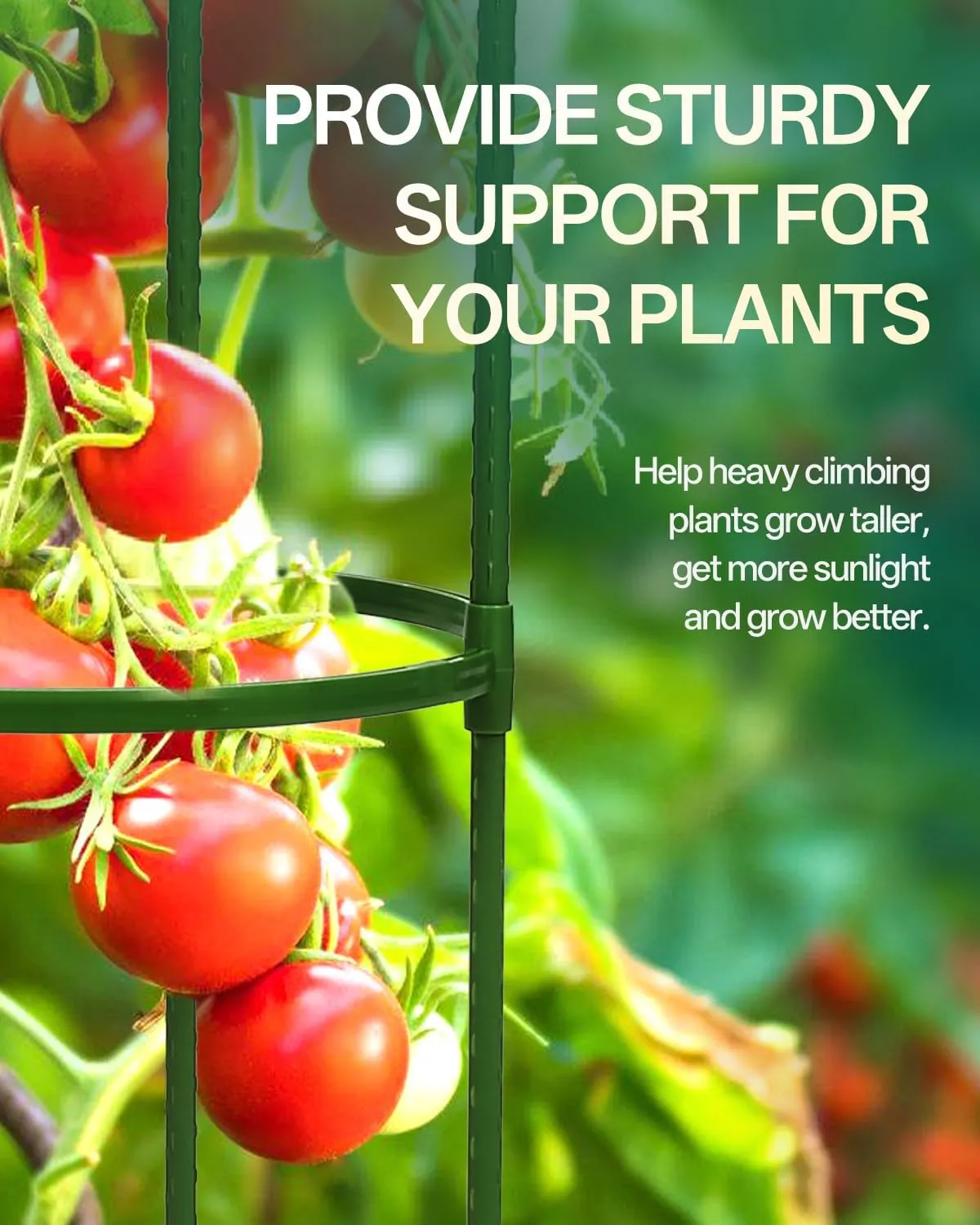 Breeze Touch 3 Pack Tomato Support Cages, Up to 59 Inch Adjustable Tomato Trellis for Garden & Pots, Small Plant Cages, Plant Support for Climbing Vegetables, Flowers, Beans, Cucumber Peony