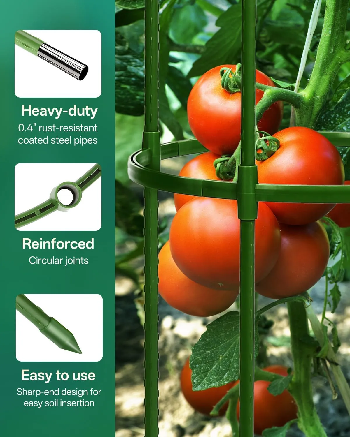 Breeze Touch 3 Pack Tomato Support Cages, Up to 59 Inch Adjustable Tomato Trellis for Garden & Pots, Small Plant Cages, Plant Support for Climbing Vegetables, Flowers, Beans, Cucumber Peony