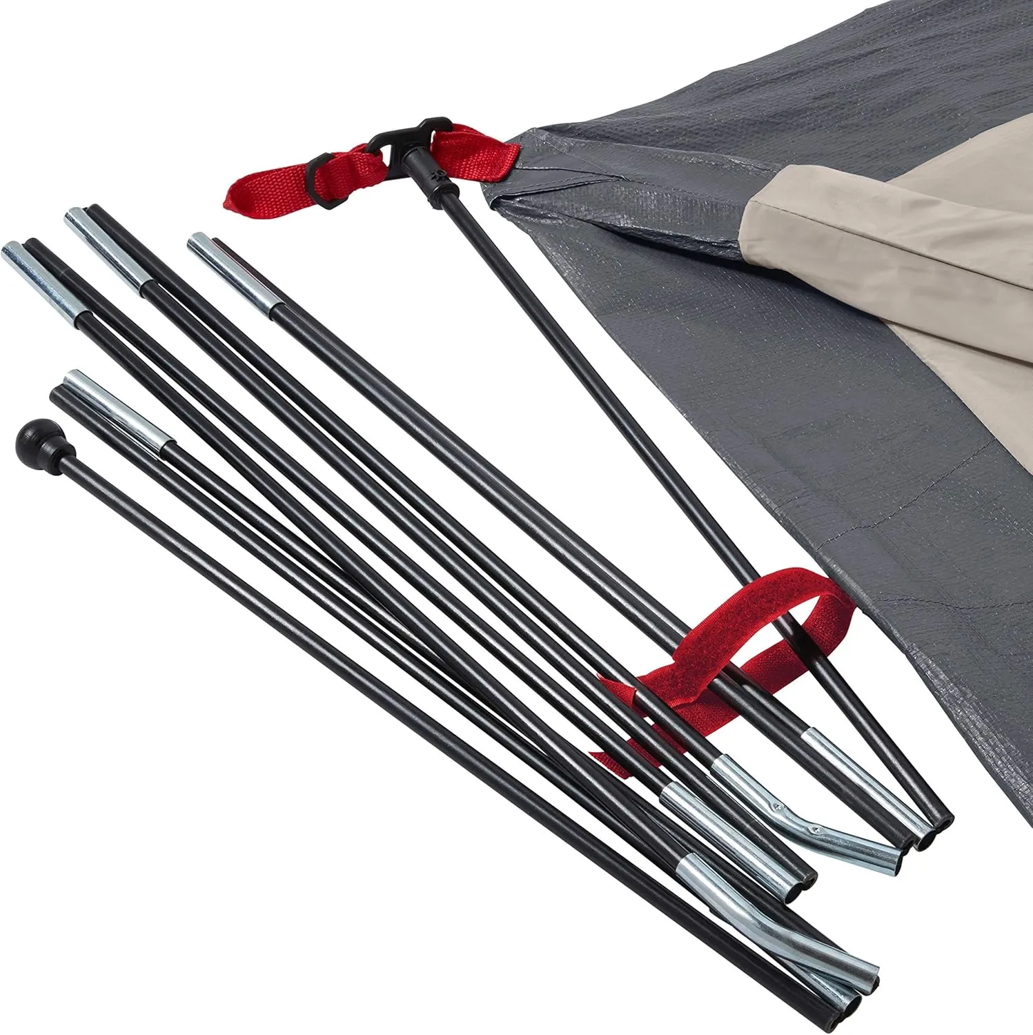 Coleman Skydome Series Camping Tent Weatherproof Tent Includes Pre-Attached Poles Rainfly Carry Bag and Unique Pattern Sets up in 5 Minutes