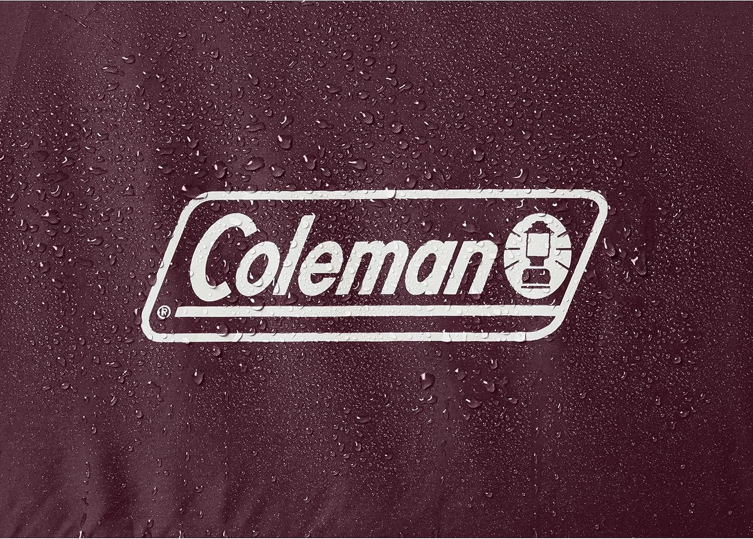 Coleman Skydome Series Camping Tent Weatherproof Tent Includes Pre-Attached Poles Rainfly Carry Bag and Unique Pattern Sets up in 5 Minutes
