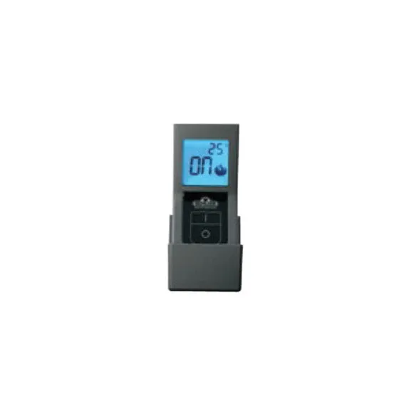 Direct Vent Gas Stove - Napoleon GDS20 Arlington
