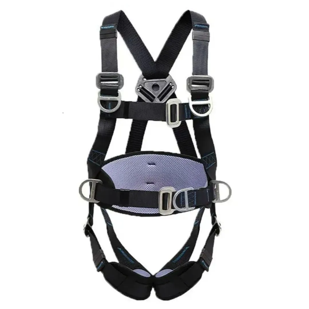 Full Five-Point Safety Harness
