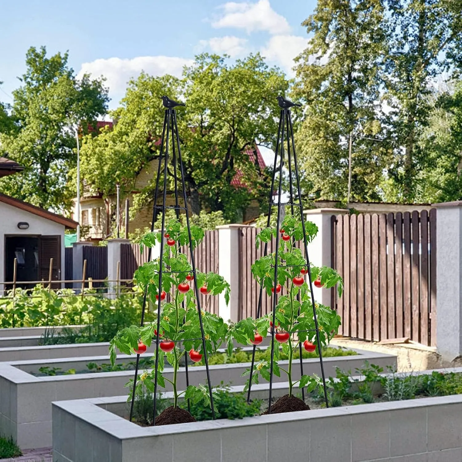 Garden Trellis for Climbing Plants Outdoor, 67" Tall Cucumber Trellis, Obelisk Plant Support for Climbing Vine Vegetable Tomato Peas Bean Trellis, Black, 2 Pack