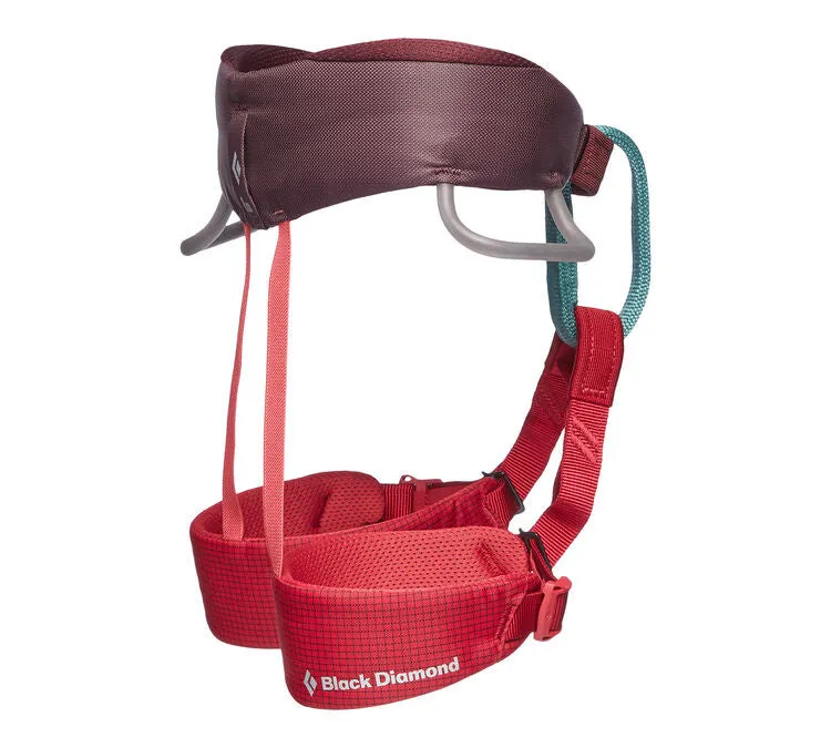 Kid's Momentum Harness