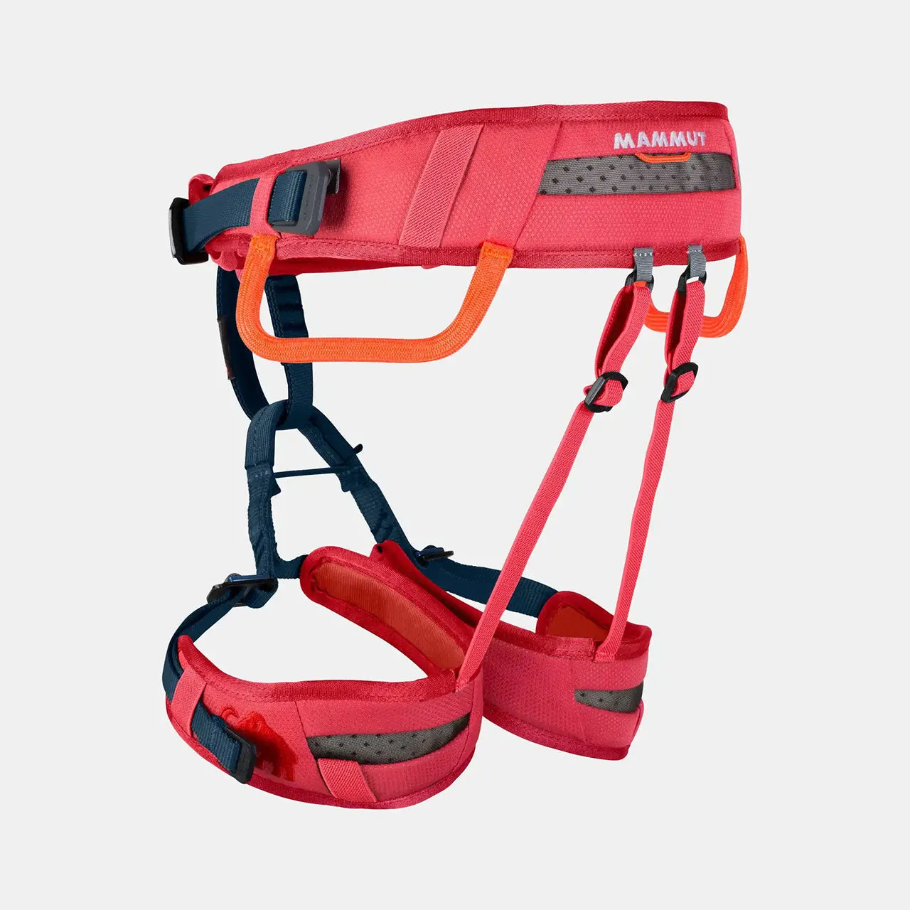 Kid's Ophir Harness