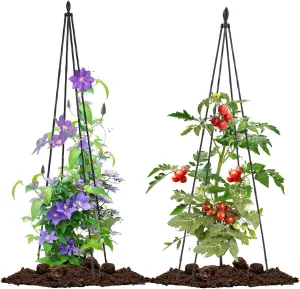 Lalahoni 2 Pack Garden Trellis for Climbing Plants Outdoor Indoor, 67inch Tall Obelisk Rose Trellis Climbing Plants Support Vine Vegetable Pea Bean Cucumber Trellis for Garden Raised Bed, Lightweight
