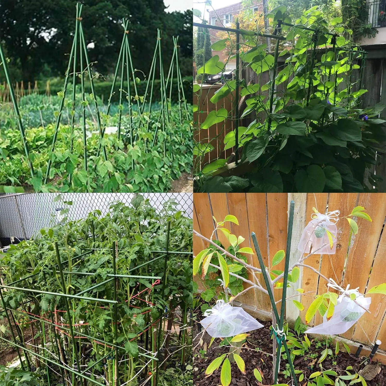 Orgrimmar 26 PCS 36" Garden Support Stakes Plastic Coated Deformable Climbing Plant Trellis Plant Climbing Frame for Tomato Cucumber Eggplant Vine Vegetable (36 Inch)
