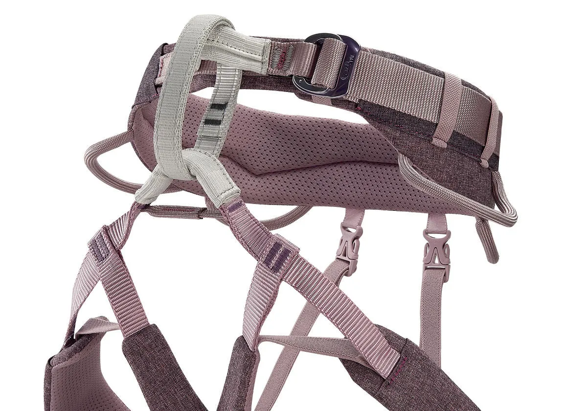 Selena Harness - Past Season