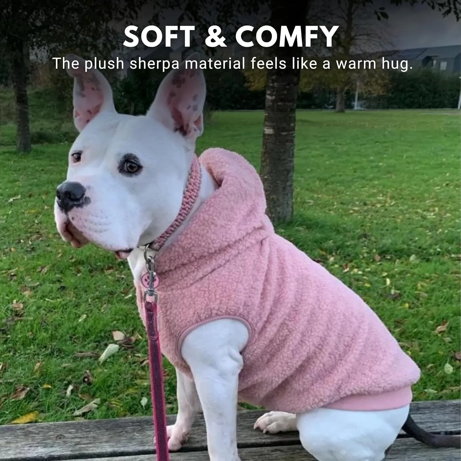 Spark Paws Teddy Dog Sweater - Sherpa Hooded Vest with Warm Fleece Lining, Winter Coat Suitable for Small Medium Large XL XXL Breeds - Pink - M