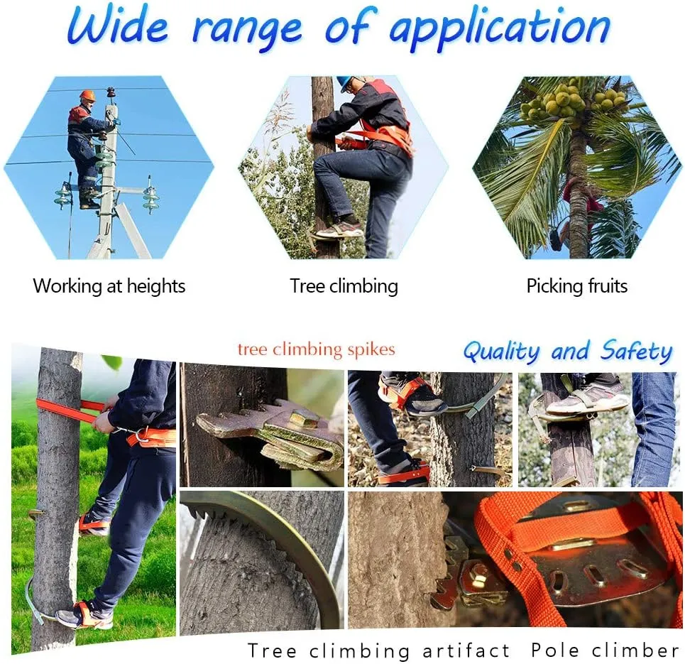Tree Climbing Gear, Tree Climbing Tool, Adjustable Tree Climbing Spikes for Climbing Hunting Observation Picking Fruit,250model