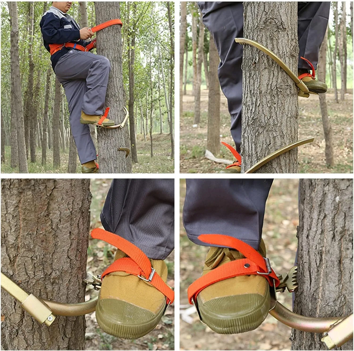 Tree Climbing Tool, Tree Climbing Spike Set, Non-Slip Climbing Tree Spikes, Safety Belt Adjustable Rope Rescue Belt for Cutting Trees and Fruit Picking(Size:Model 550)
