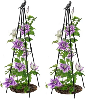 Trellis for Climbing Plants Outdoor, 2 Pack Plant Trellis Support for Climbing Vine, 63" Plant Support Tower Cages Plastic Coated Metal Pipe Supports for Outdoor Indoor, Potted Plants, Tomato cage